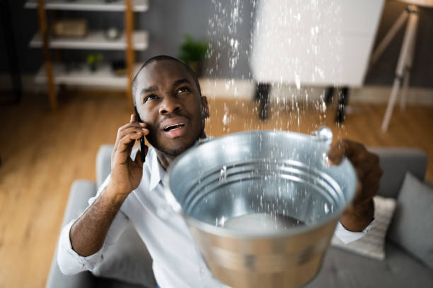 Best Fire Damage Restoration  in Cedar Ridge, CA