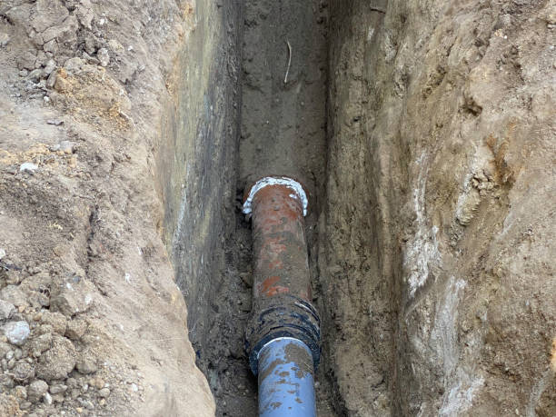 Best 24/7 water damage repair  in Cedar Ridge, CA