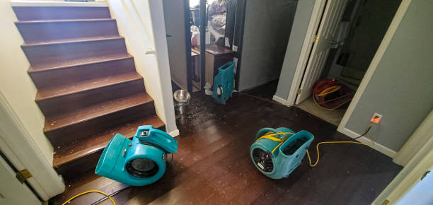 Best Carpet water damage restoration  in Cedar Ridge, CA