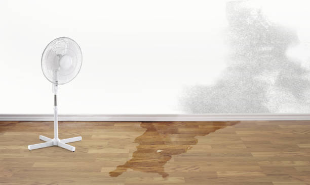 Best 24-hour water damage restoration  in Cedar Ridge, CA