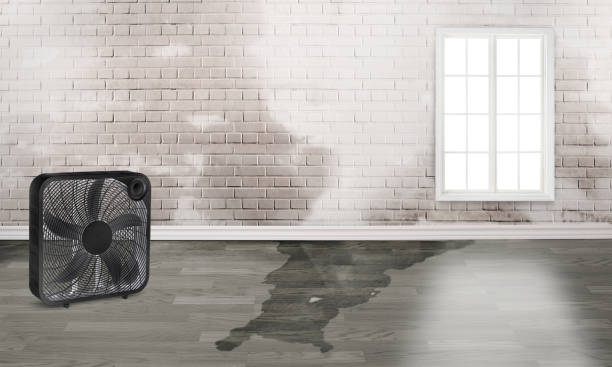 Best Basement water damage restoration  in Cedar Ridge, CA
