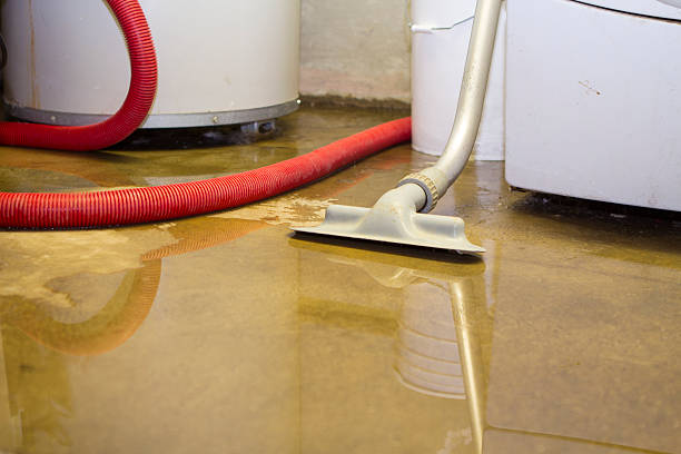 Best Water damage contractors near me  in Cedar Ridge, CA