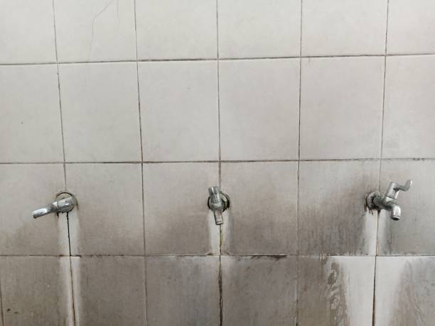Best Sewage cleanup and water damage restoration  in Cedar Ridge, CA