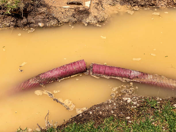 Best Water damage restoration near me  in Cedar Ridge, CA