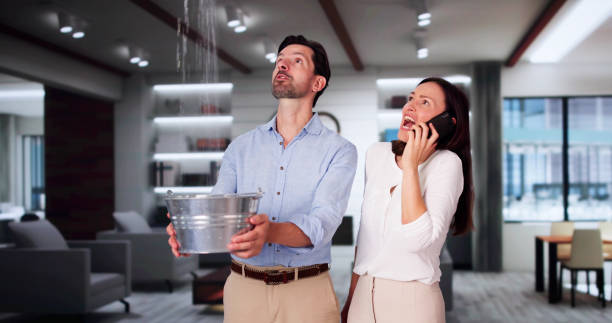 Best 24-hour water damage restoration  in Cedar Ridge, CA
