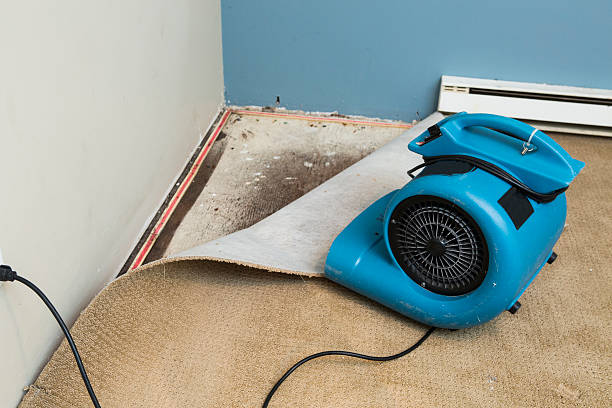 Best Fire Damage Restoration  in Cedar Ridge, CA